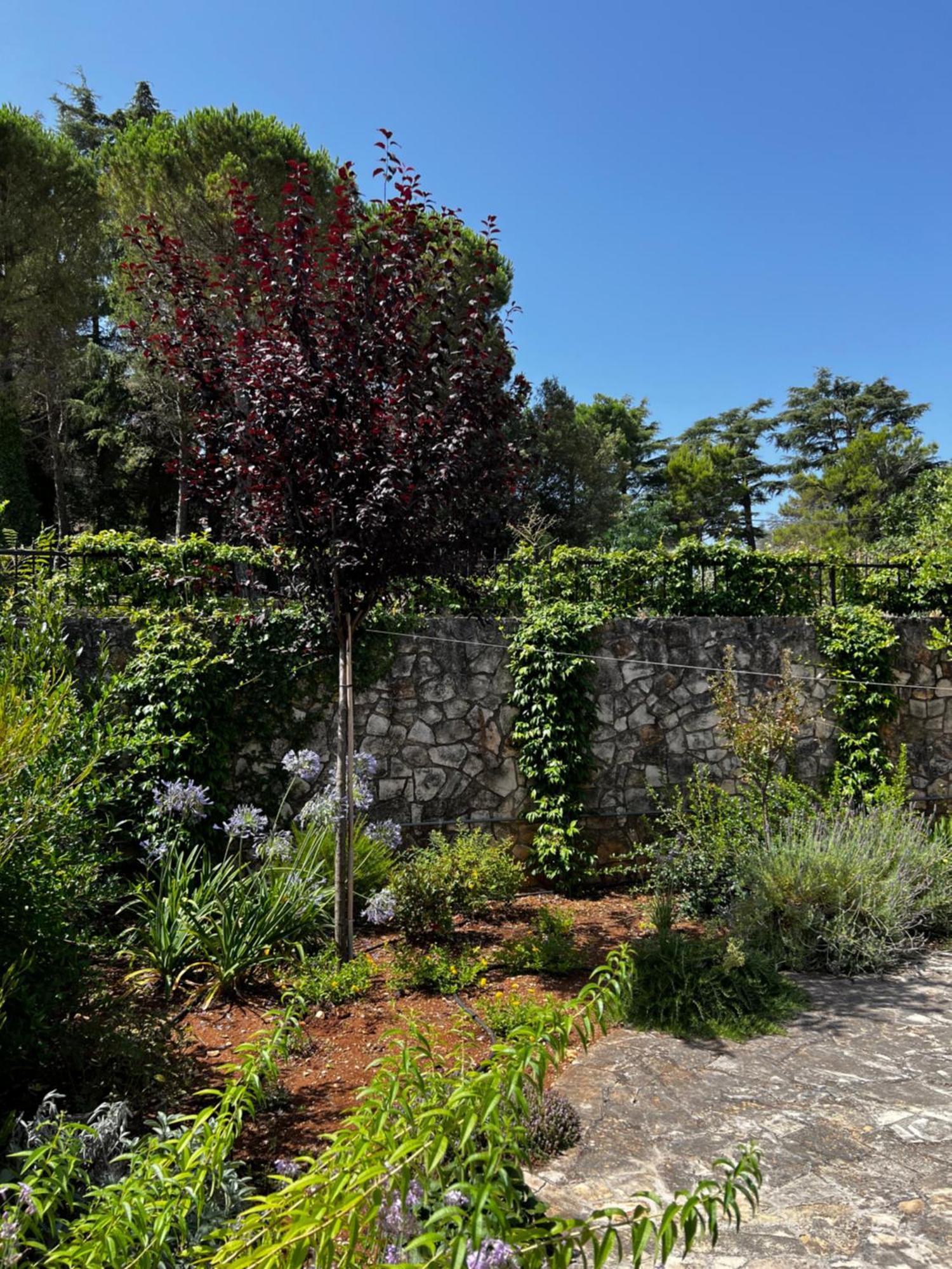 Dimora Di Bari Villa Selva Di Fasano Exterior photo